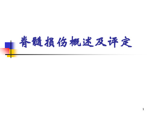 脊髓损伤评定精选