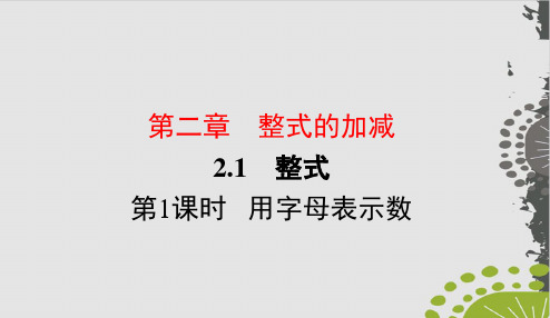 人教版七级数学上册用字母表示数课件