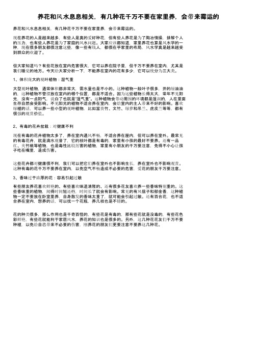 养花和风水息息相关，有几种花千万不要在家里养，会带来霉运的