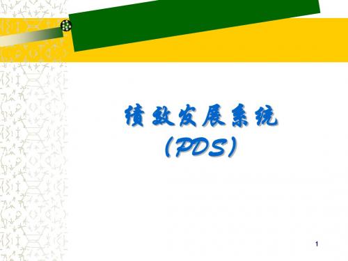 论服装行业PDS绩效发展系统(ppt 77页)