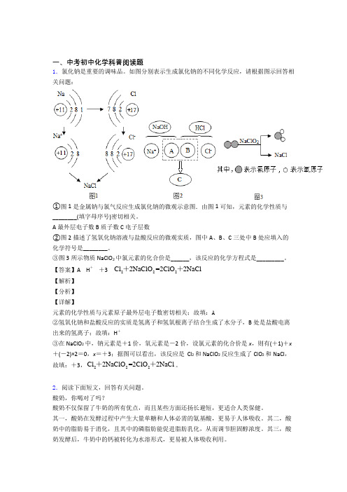 2020-2021中考化学科普阅读题-经典压轴题附详细答案