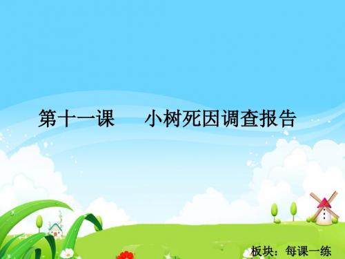 最新语文S版四年级语文下册11 小树死因调查报告_每课一练