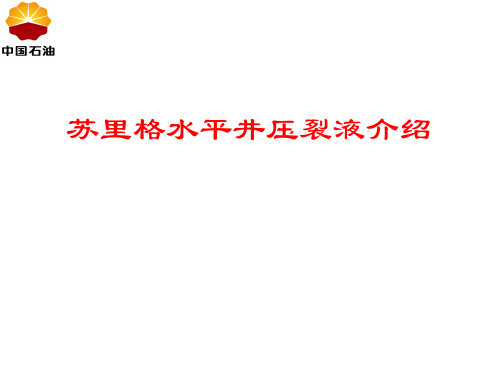 [实用参考]苏里格水平井压裂液介绍