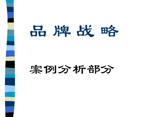 品牌战略案例分析全