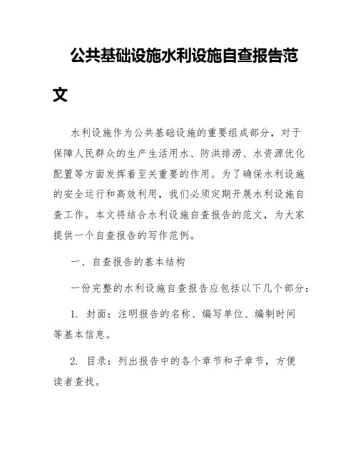 公共基础设施水利设施自查报告范文