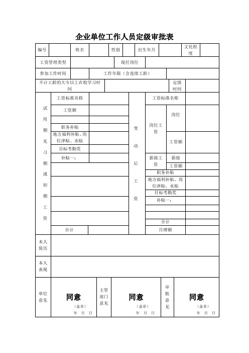 定级审批表