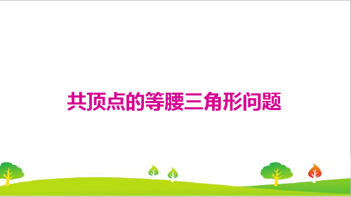 最新人教版初中八年级上册数学《共顶点的等腰三角形问题》精品教案