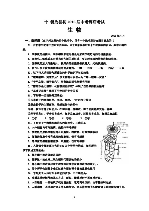 乐山市历届中考试题8套及答案