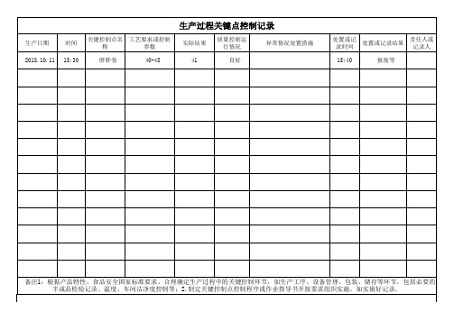 生产过程关键点控制记录表