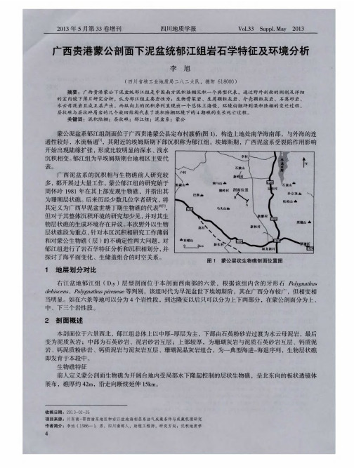 广西贵港蒙公剖面下泥盆统郁江组岩石学特征及环境分析