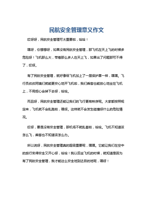 民航安全管理意义作文