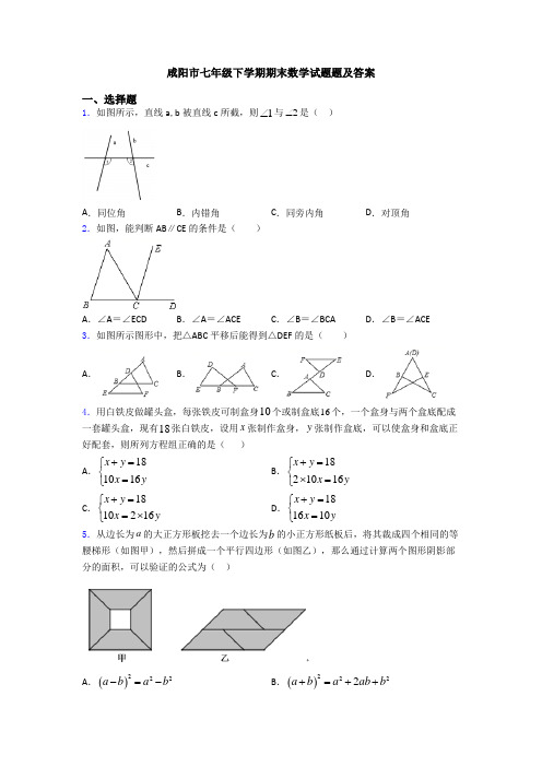 咸阳市七年级下学期期末数学试题题及答案