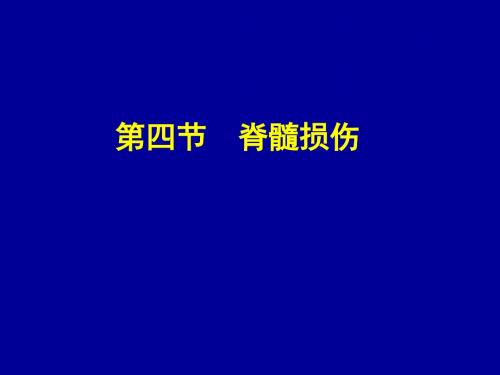 脊髓损伤课件