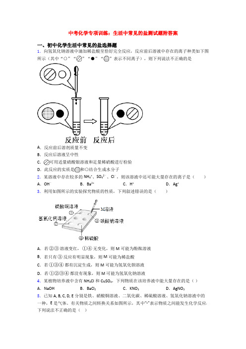 中考化学专项训练：生活中常见的盐测试题附答案