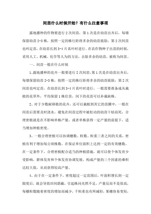 间苗什么时候开始？有什么注意事项