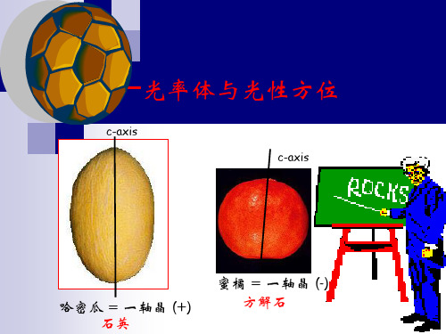 2A光率体