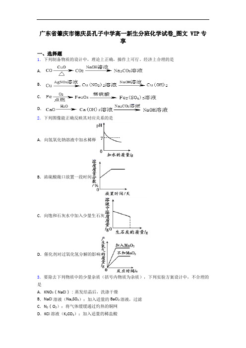 广东省肇庆市德庆县孔子中学高一新生分班化学试卷_图文 VIP专享