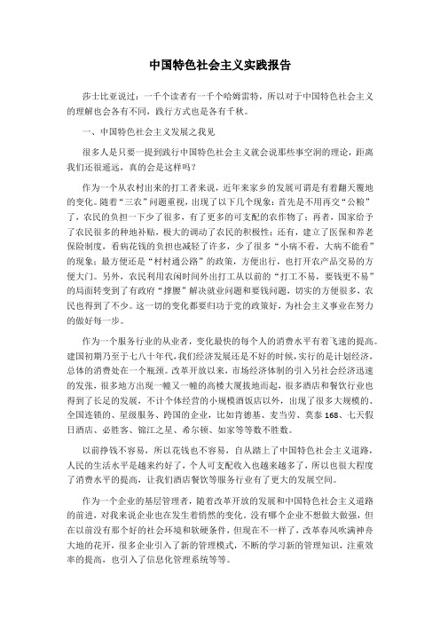 中国特色社会主义实践报告