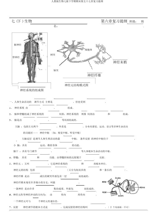 人教版生物七级下学期期末第五六七章复习提纲