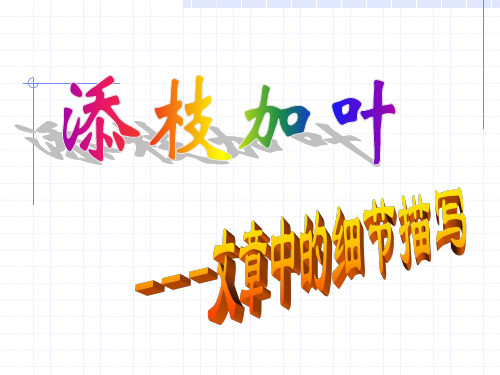 细节描写训练(第二课时用)