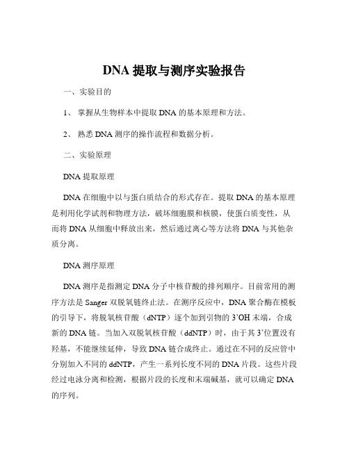 DNA提取与测序实验报告