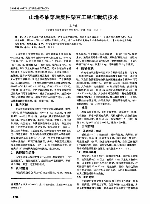山地冬油菜后复种架豆王旱作栽培技术
