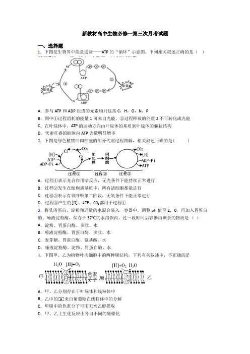 新教材高中生物必修一第三次月考试题