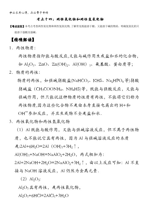 高中化学(1)最易错考点系列考点14 两性氧化物和两性氢氧化物 含解析