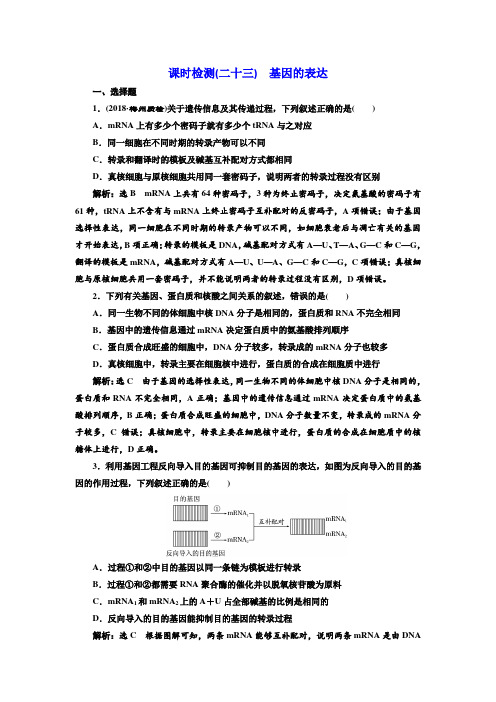 2019届高考全国卷人教版生物一轮复习课时检测(二十三) 基因的表达 Word版含解析