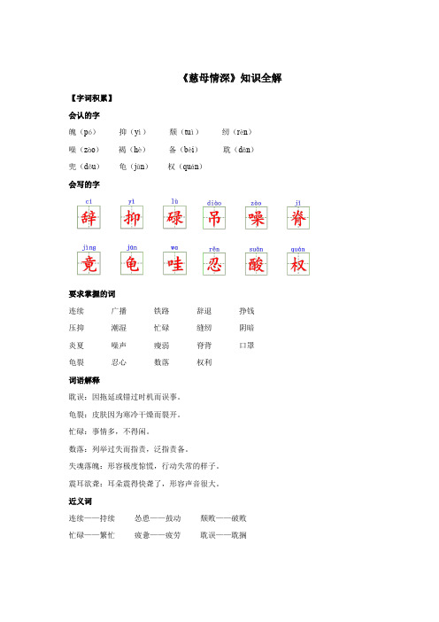 人教部编版小学五年级语文上册《慈母情深》知识全解