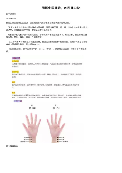 图解中医脉诊，28种脉口诀