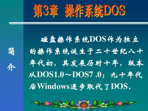 第三章操作系统DOS.ppt