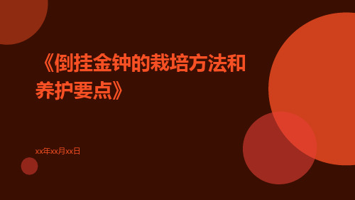 倒挂金钟的栽培方法和养护要点