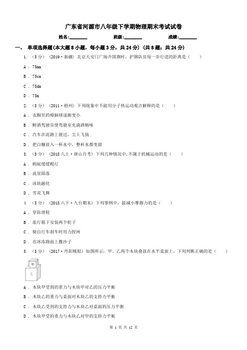 广东省河源市八年级下学期物理期末考试试卷