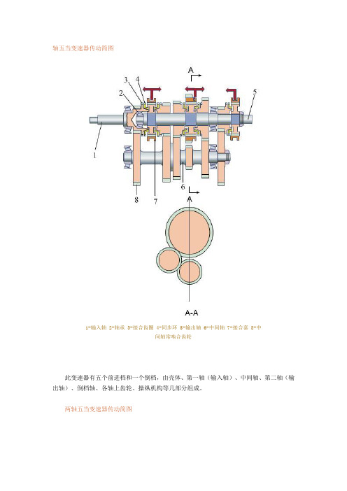 轴五当变速器传动简图