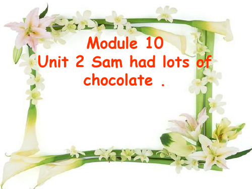 外研版四年级英语下册Module10Unit2Samhadlotsofchocolates教学课件