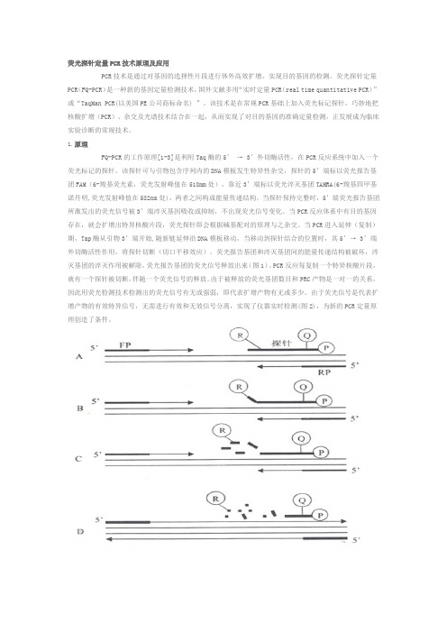 荧光探针定量PCR技术原理及应用