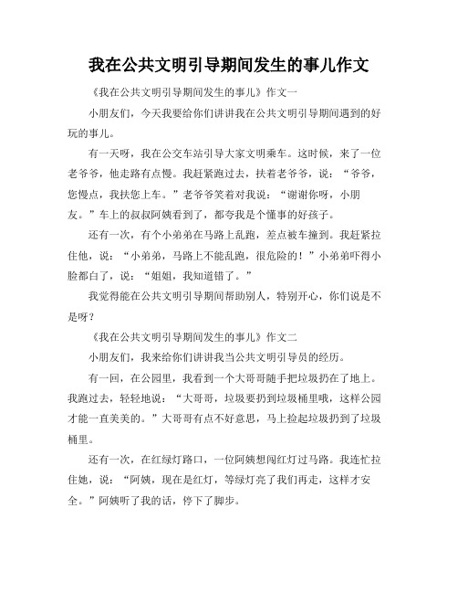 我在公共文明引导期间发生的事儿作文