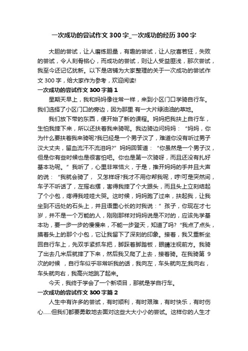 一次成功的尝试作文300字_一次成功的经历300字