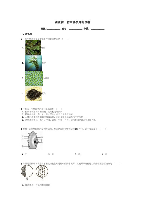 浙江初一初中科学月考试卷带答案解析
