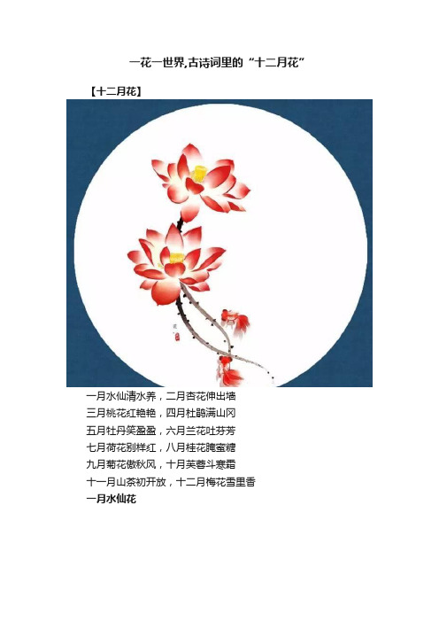 一花一世界,古诗词里的“十二月花”