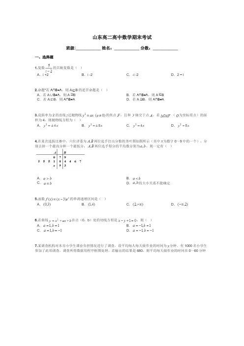 山东高二高中数学期末考试带答案解析
