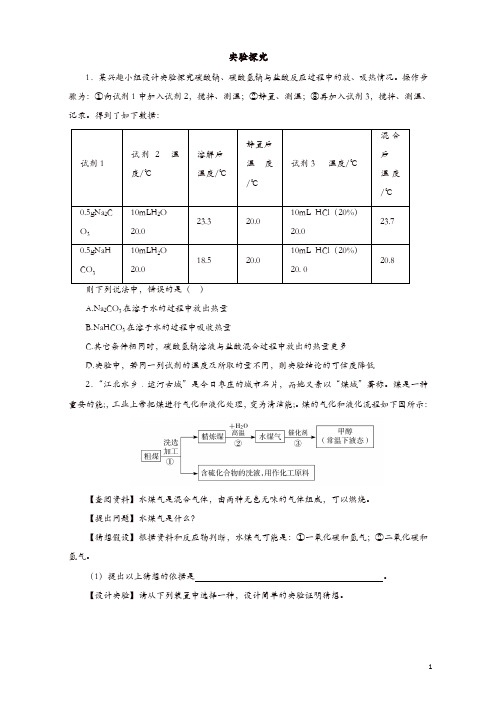 新人教版中考化学专题训练：实验探究题(含详解)