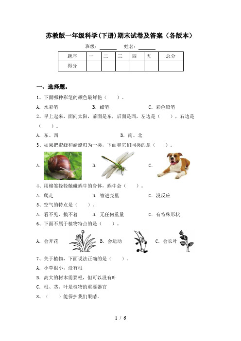 苏教版一年级科学(下册)期末试卷及答案(各版本)