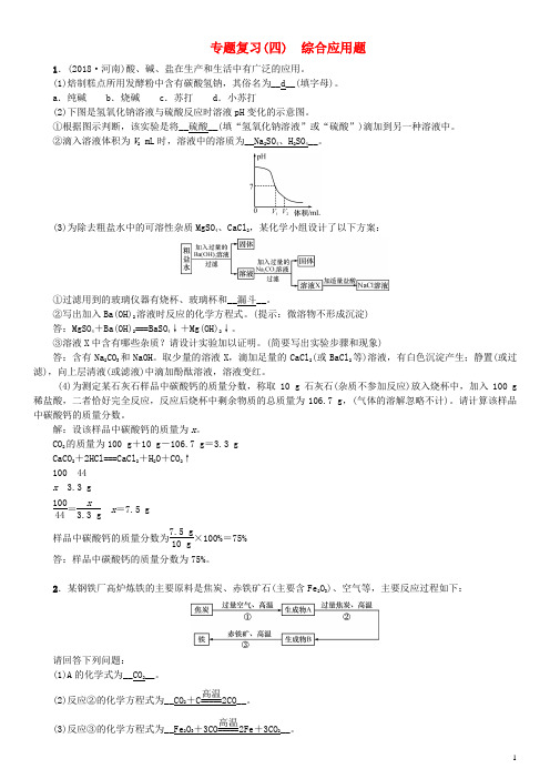 额尔古纳市一中九年级化学下册专题复习四综合应用题习题新版新人教版