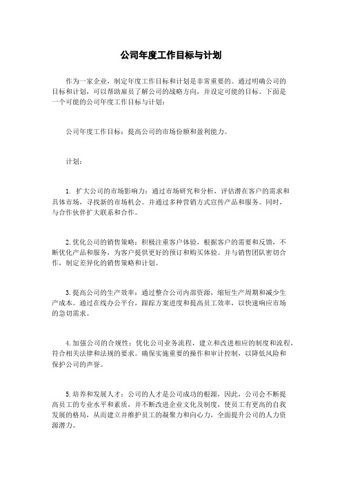 公司年度工作目标与计划