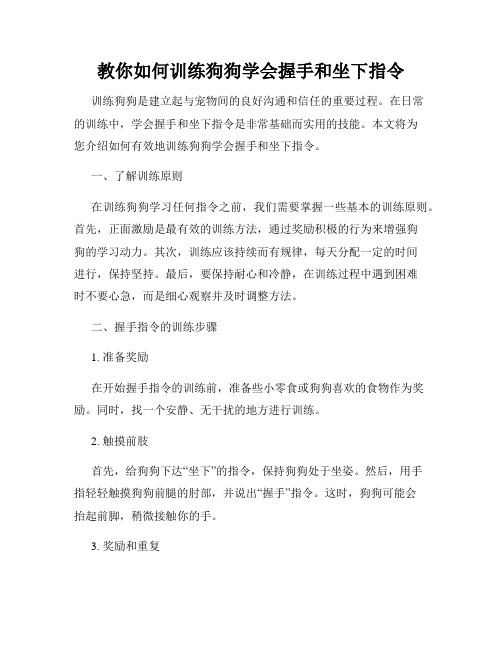 教你如何训练狗狗学会握手和坐下指令