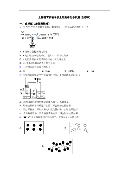 上海建青实验学校初三化学上册期中化学试题(含答案)