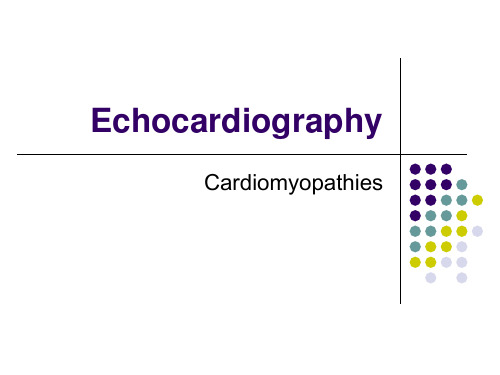 【医学英文精品课件】超声心动图 Echocardiography