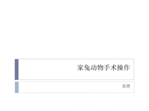 家兔实验手术